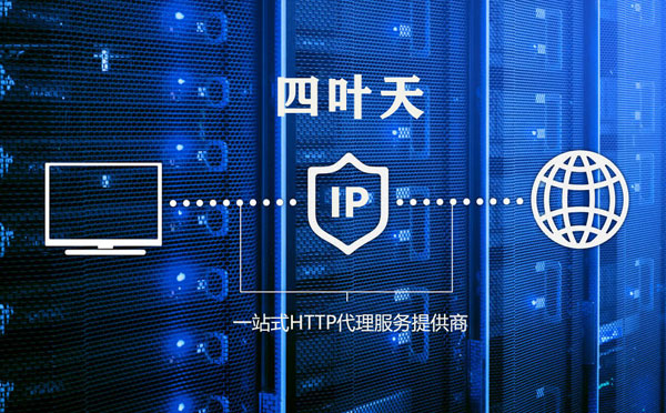 【毕节代理IP】代理IP的主要用途和使用注意事项